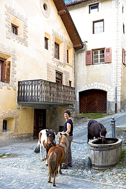 Ponies drink from water trough in Engadine Valley village of Ardez, Switzerland, Europe