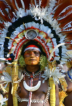 Man at Sing Sing tribal gathering  Mount Hagen, Papua New Guinea