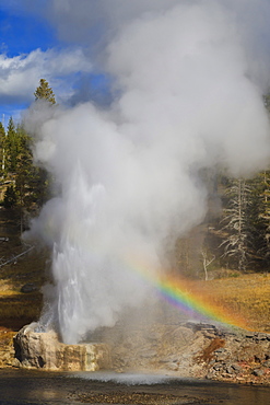 Rainbow cast by eruption of Riverside Geyser, Firehole River, Upper Geyser Basin, Yellowstone National Park, UNESCO World Heritage Site, Wyoming, United States of America, North America 