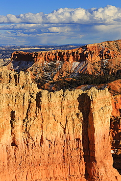 Late afternoon sun lights rocks, Rim Trail near Sunset Point, Bryce Canyon National Park, Utah, United States of America, North America