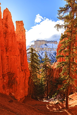 Peekaboo Loop Trail switchbacks wind through hoodoos lit by early morning sun in winter, Bryce Canyon National Park, Utah, United States of America, North America