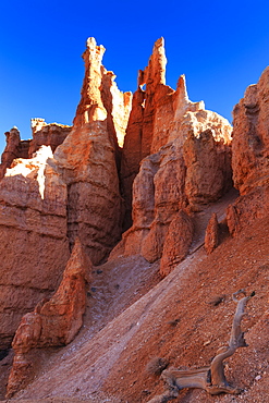 Hoodoos backlit by winter early morning sun, Queen's Garden Trail, Bryce Canyon National Park, Utah, United States of America, North America
