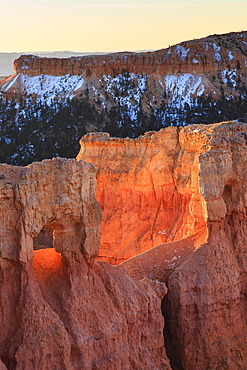 Rocks lit by strong dawn light, snowy backdrop, Queen's Garden Trail at Sunrise Point, Bryce Canyon National Park, Utah, United States of America, North America