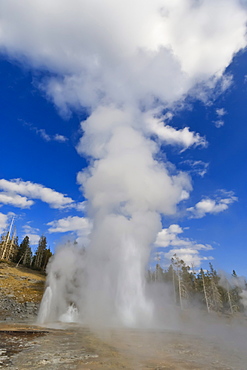 Turban, Vent and Grand Geysers erupt, Upper Geyser Basin, Yellowstone National Park, UNESCO World Heritage Site, Wyoming, United States of America, North America