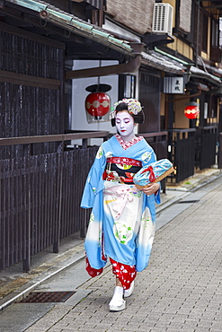 Maiko, apprentice geisha, walks to evening appointment past traditional wooden tea houses, Gion, Kyoto, Japan, Asia