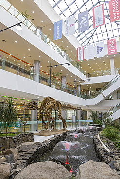 Huge dinosaur skeleton on display at a new shopping centre, Ulaanbaatar (Ulan Bator), Mongolia, Central Asia, Asia