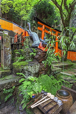 Fox water feature at a mossy Shinto shrine surrounded by thick forest in summer, Fushimi Inari Taisha, Mount Inari, Kyoto, Japan, Asia