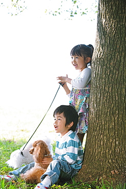 Girl and Boy with Poodle Dog near Tree Trunk