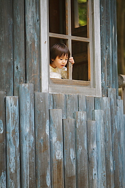 Boy Looking from Playhouse Window