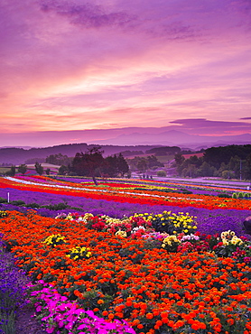 Hokkaido, Japan