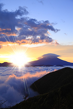 Shizuoka Prefecture, Japan