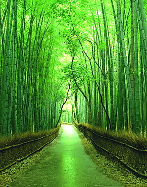 Kyoto, Japan