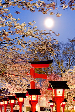 Hirano Shrine, Kyoto, Japan