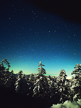 Shibu Gap, Nagano, Japan