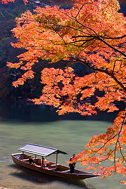 Katsuragawa, Kyoto, Japan