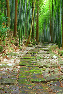 Ishizakaishidatami Road, Oita, Japan