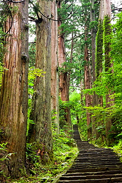 Mt. Haguor, Yamagata, Japan