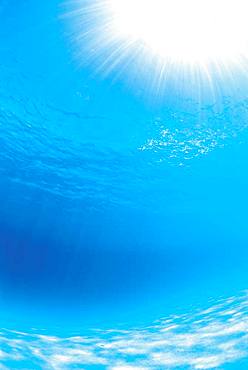 Underwater in Saipan, North Mariana