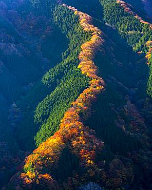 Nara Prefecture, Japan