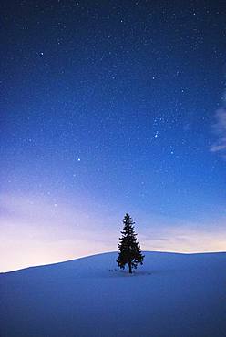 Hokkaido, Japan