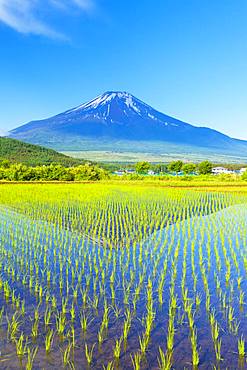 Beautiful view of Mount Fuji