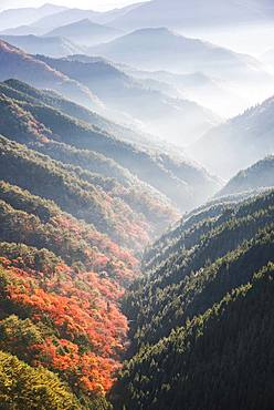 Nara Prefecture, Japan