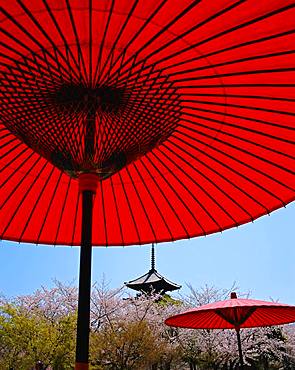 Japanese paper parasols