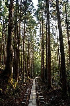 Yakushima, Kagoshima Prefecture