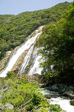 Oogawa Falls, Kagoshima Prefecture, Yakushima, Kagoshima Prefecture