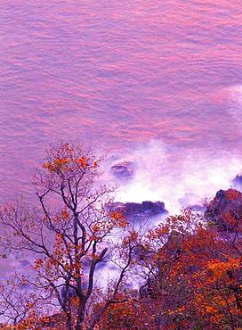 Evening, Hokkaido, Japan