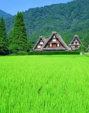 Shirakawa-go, Gifu Prefecture, Japan