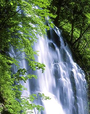 Ichino Fall, Akita, Japan