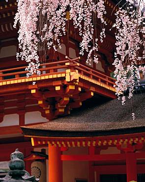 Kasuga-Taisha, Nara, Japan