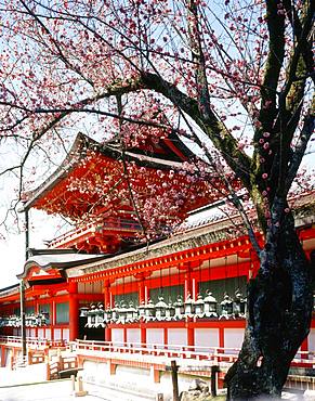 Kasuga Taisha, Nara, Japan