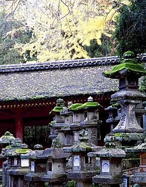 Kasuga Taisha, Nara, Japan