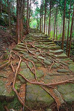 Kumanokodo, Wakayama, Japan