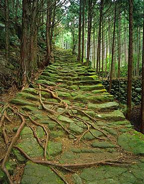 Kumanokodo, Mie, Japan