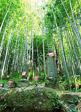 Kumanokodo, Mie, Japan