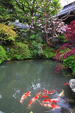 Ekouin, Wakayama, Japan