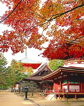 Koyasan, Wakayama, Japan