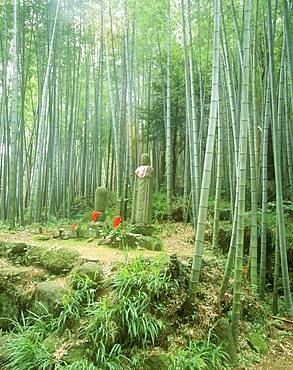 Matsumoto path, Kumanokodo, Mie, Japan