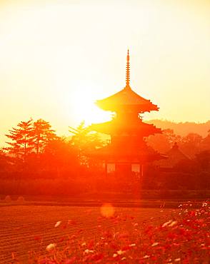 Hokki-ji, Nara, Japan