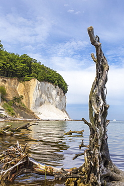 A view of the chalk cliffs at the Jasmund National Park on RÃ¼gen