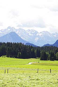 An alpine view near Ofterschwang in AllgÃ¤u in Bavaria, Germany