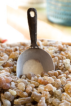 Close-up of dried incense resin with spatula in Salalah, Dhofar, Oman