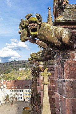 Figure of a gargoyle at Muenster in Freiburg, Germany