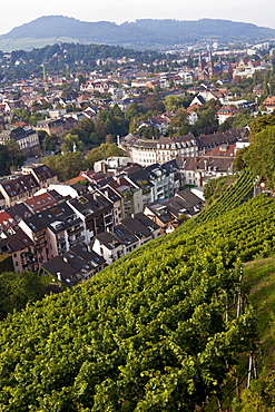 View of cityscape from Schlossberg, Freiburg, Germany