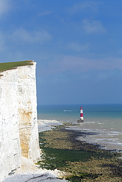 Beachy Head, South Downs National Park, near Eastbourne, East Sussex, England, United Kingdom, Europe