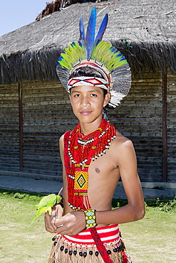 A Pataxo indigenous Brazilian boy from southern Bahia in traditional dress, Bahia, Brazil, South America