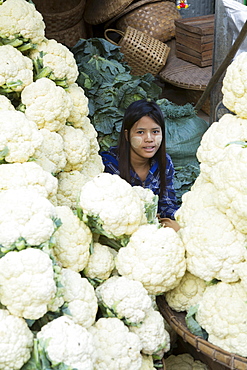 Cauliflowers at Monywa market, Monywa, Sagaing, Myanmar, Southeast Asia